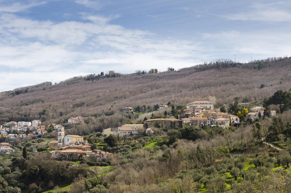 Al Casale Dei Nonni Bed and Breakfast Laureana Cilento Exterior foto